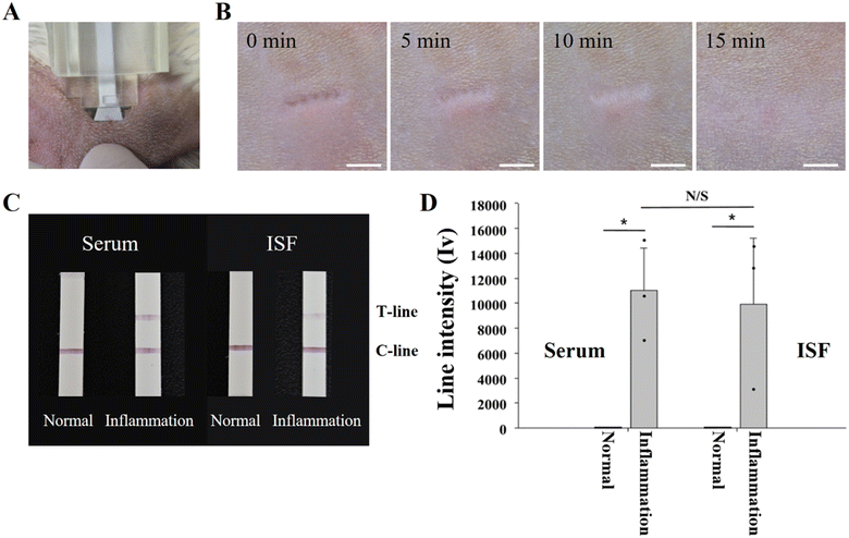 image file: d5lc00199d-f7.tif