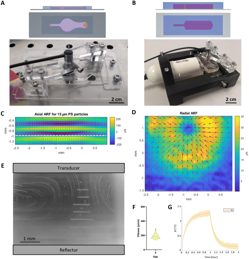 image file: d5lc00249d-f2.tif