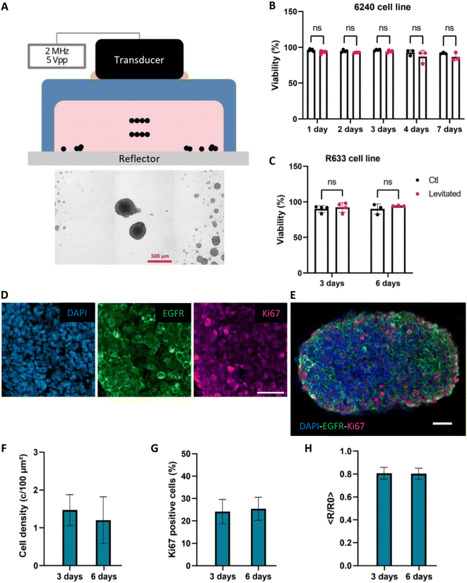 image file: d5lc00249d-f4.tif