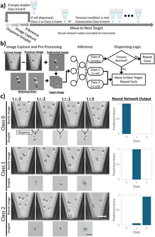image file: d5lc00514k-f2.tif