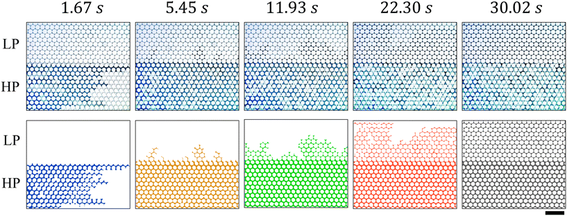 image file: d5lc00544b-f15.tif