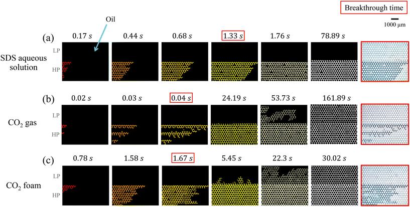 image file: d5lc00544b-f6.tif