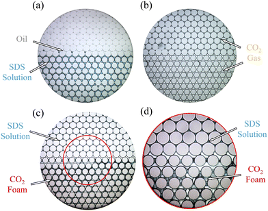 image file: d5lc00544b-f7.tif