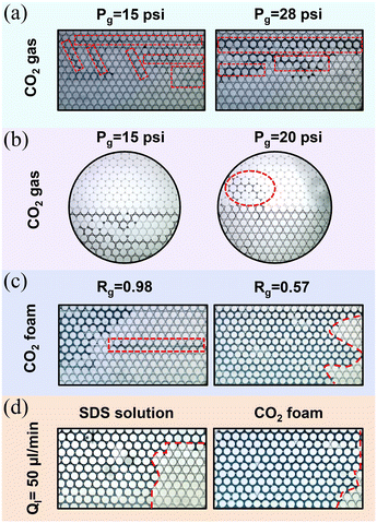 image file: d5lc00544b-f9.tif