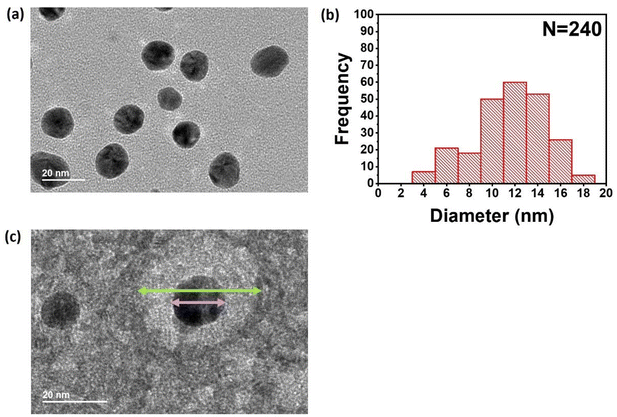 image file: d5lp00072f-f3.tif