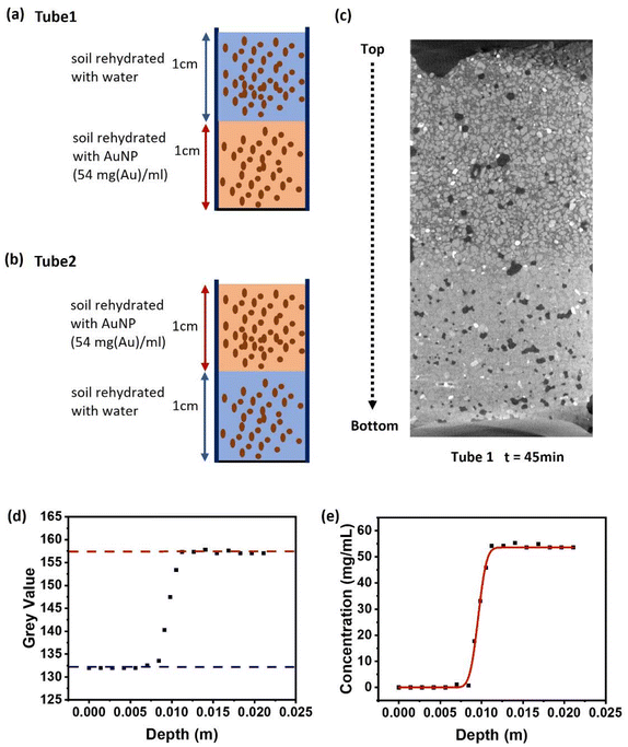 image file: d5lp00072f-f6.tif
