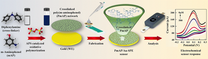 image file: d5ma00501a-f1.tif