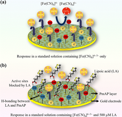 image file: d5ma00501a-f6.tif