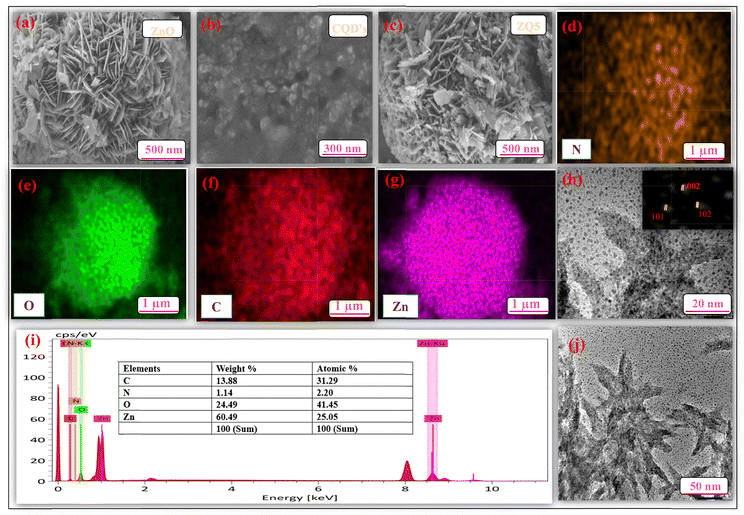 image file: d5ma00804b-f3.tif