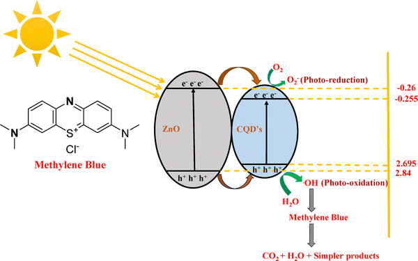 image file: d5ma00804b-s2.tif