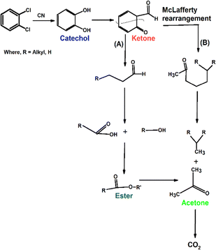 image file: d5ma00954e-s5.tif
