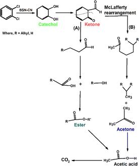 image file: d5ma00954e-s6.tif
