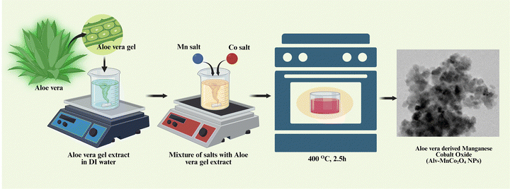 image file: d5ma01005e-f1.tif