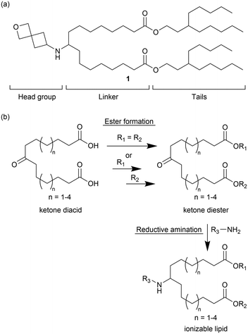 image file: d5md00115c-f1.tif