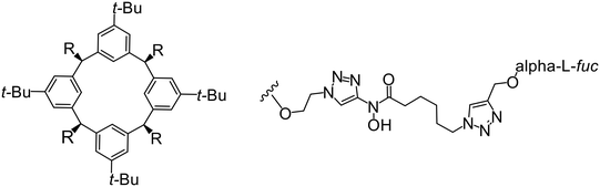image file: d5md00533g-u1.tif