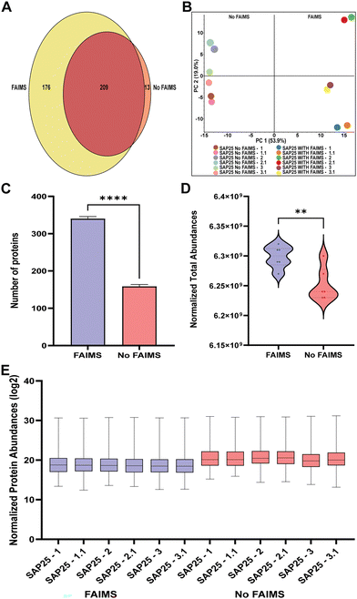 image file: d5mo00038f-f2.tif