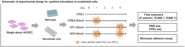 image file: d5mo00136f-f1.tif