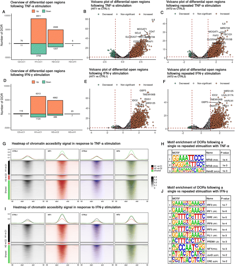 image file: d5mo00136f-f4.tif