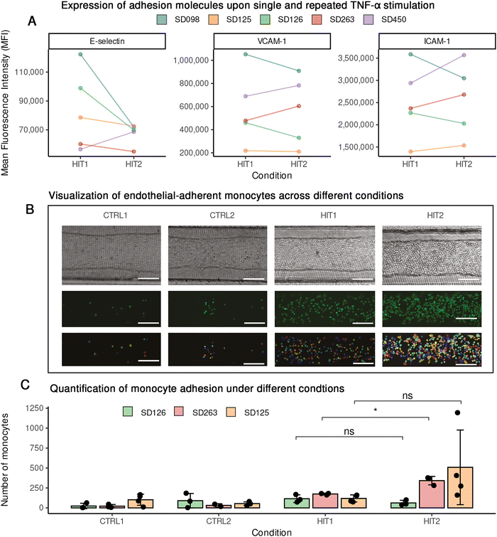 image file: d5mo00136f-f5.tif