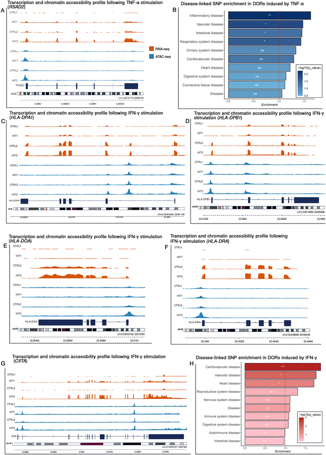 image file: d5mo00136f-f6.tif