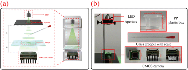 image file: d5na00407a-f1.tif