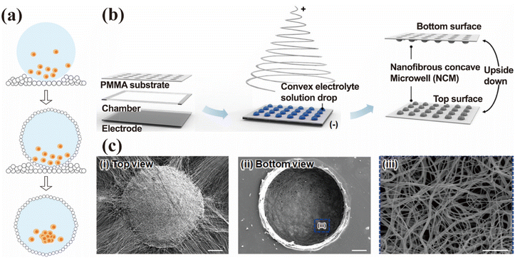image file: d5na00534e-f3.tif