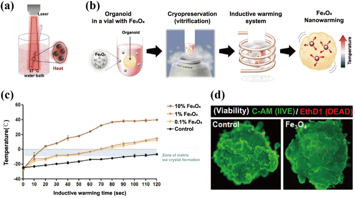 image file: d5na00534e-f5.tif