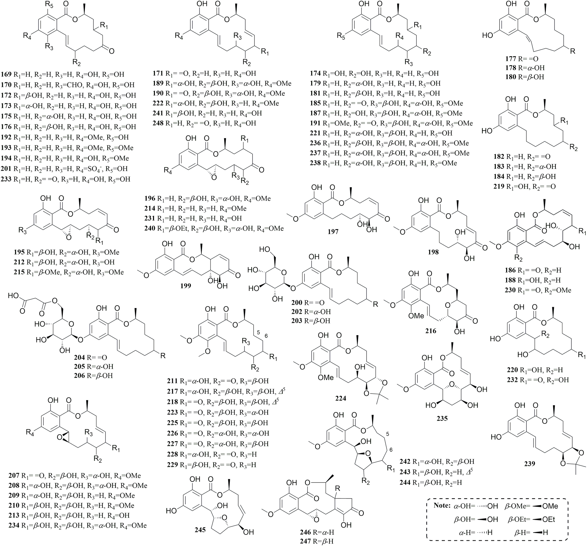 最旬トレンドパンツ The chemical and biological properties of natural resorcylic アクセサリー