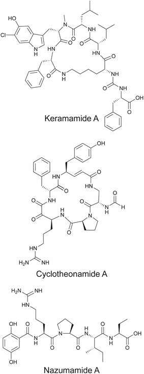 image file: d5np00048c-f11.tif