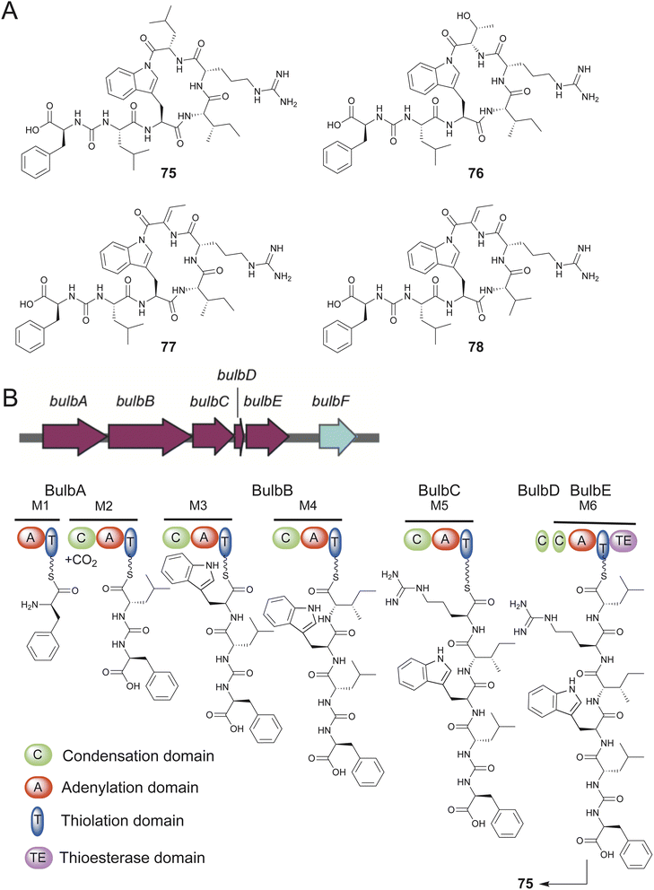 image file: d5np00048c-f15.tif
