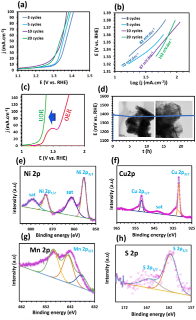 image file: d4nr03486d-f4.tif