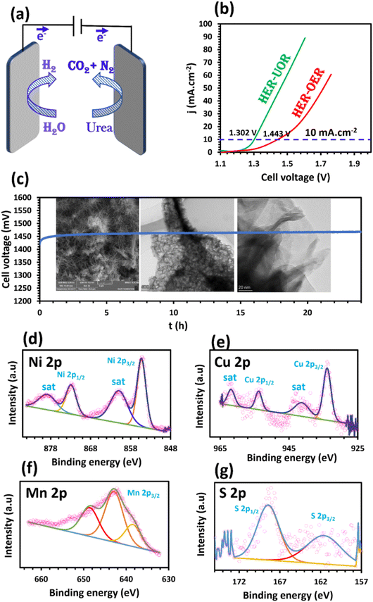image file: d4nr03486d-f5.tif