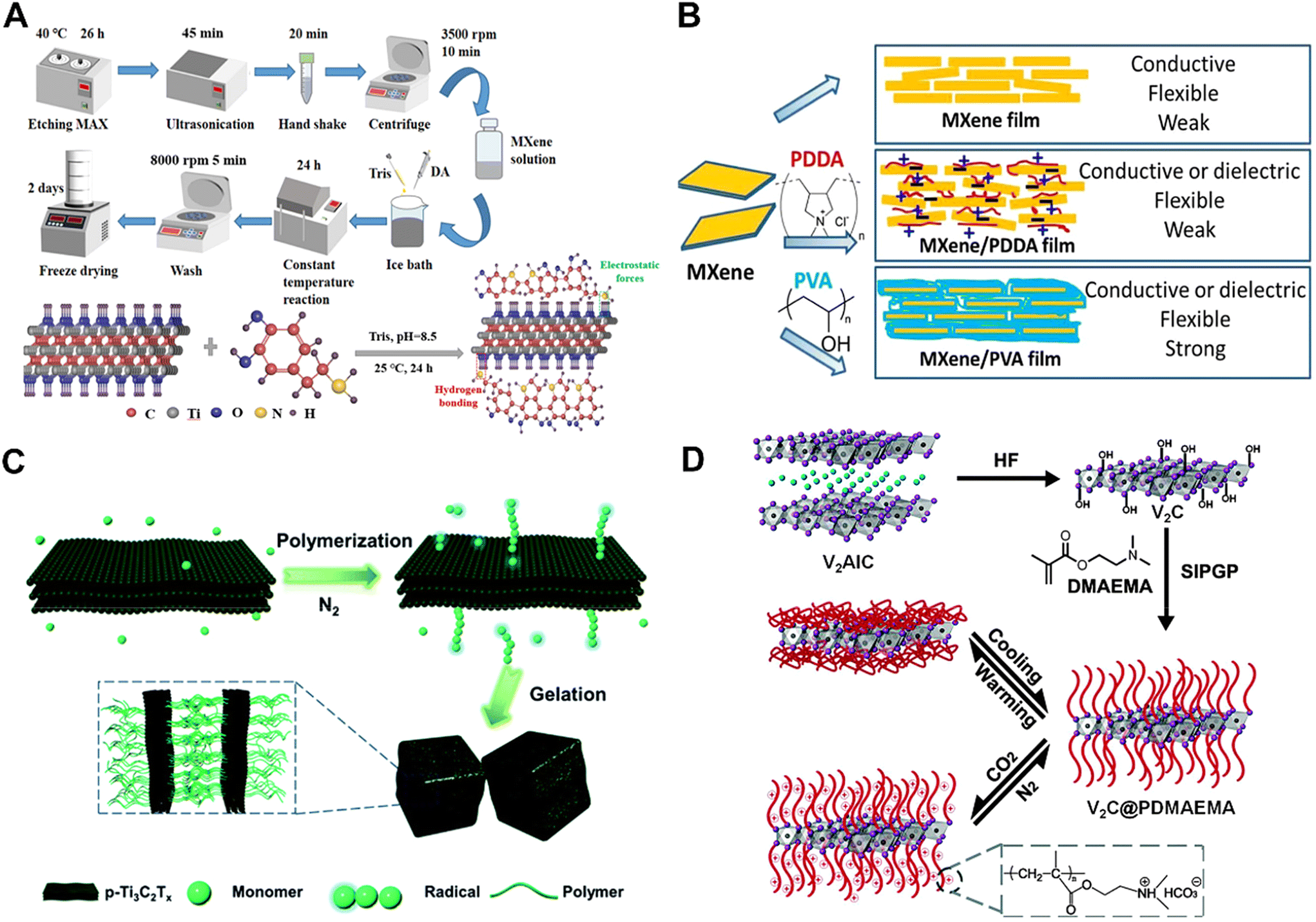 Bioactive surface-functionalized MXenes for biomedicine