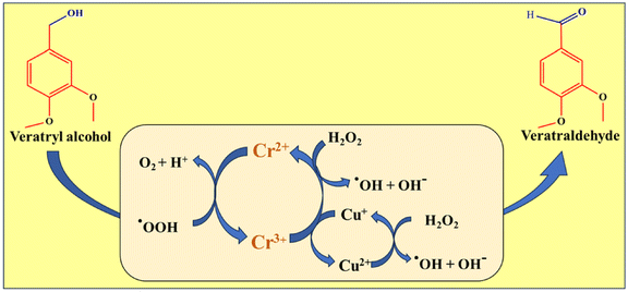 image file: d5nr03084f-s10.tif