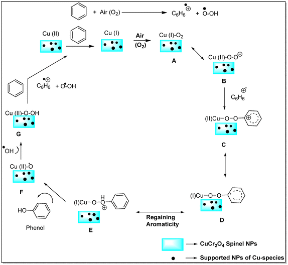 image file: d5nr03084f-s7.tif