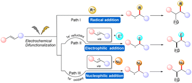 image file: d4ob01673d-s1.tif