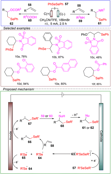image file: d4ob01673d-s10.tif