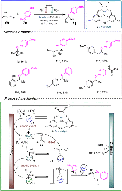 image file: d4ob01673d-s11.tif