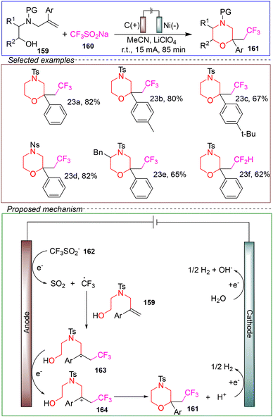 image file: d4ob01673d-s23.tif