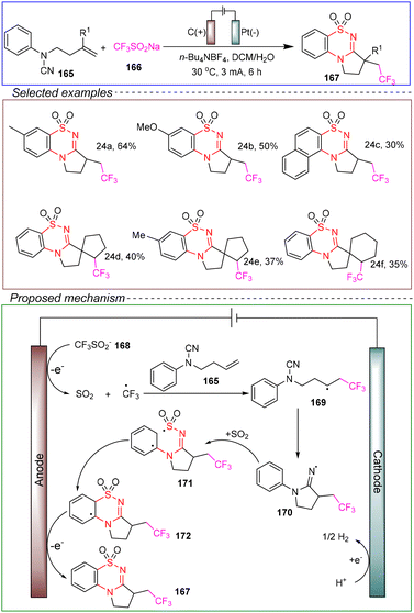 image file: d4ob01673d-s24.tif