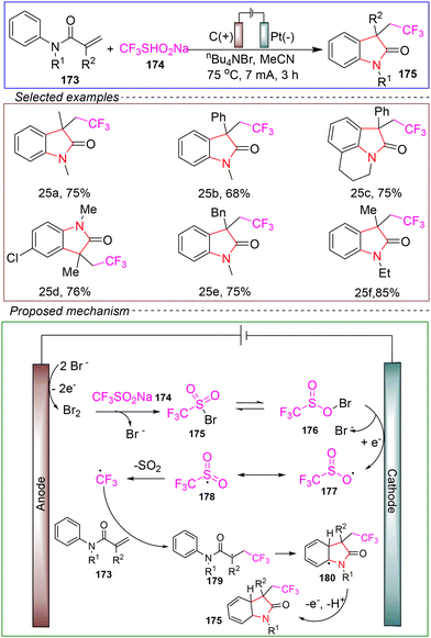 image file: d4ob01673d-s25.tif