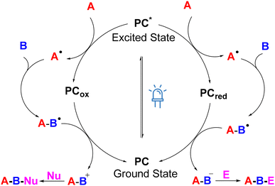 image file: d4ob01822b-f3.tif