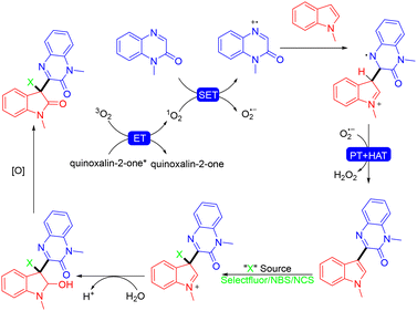 image file: d4ob01822b-s14.tif