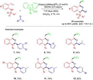 image file: d4ob01822b-s2.tif