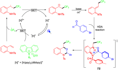 image file: d4ob01822b-s3.tif