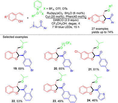 image file: d4ob01822b-s6.tif
