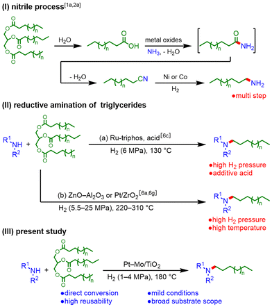 image file: d4ob01843e-s1.tif