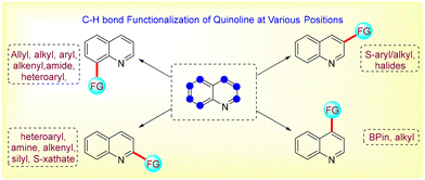 image file: d4ob02013h-u1.tif