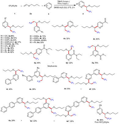 Three-component Minisci reaction involving trifluoromethyl Three-component Minisci reaction involving trifluoromethyl