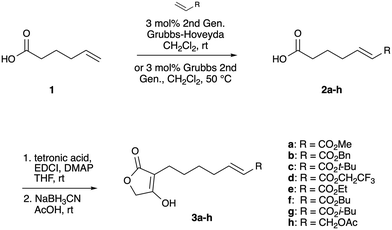 image file: d5ob00663e-s1.tif